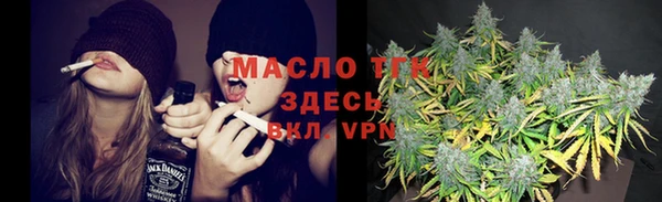 ECSTASY Богданович