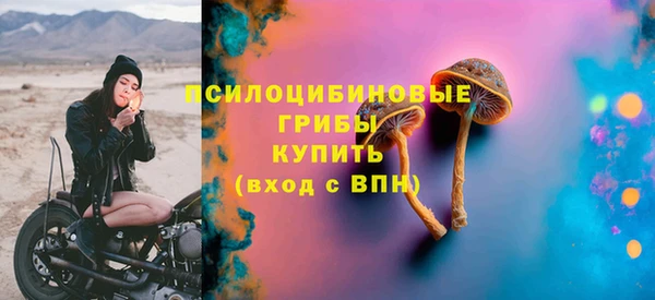 ECSTASY Богородицк