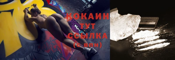 сатива Белокуриха