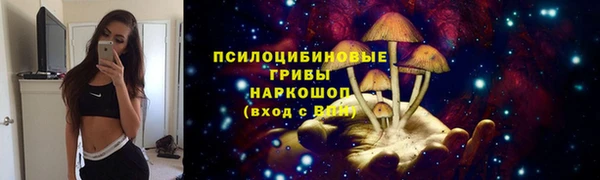 стафф Богородск