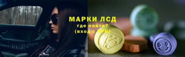 сатива Белокуриха