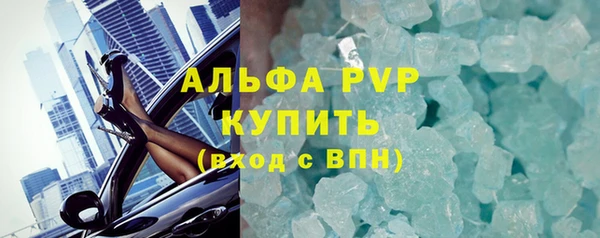 ECSTASY Богданович