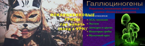 ECSTASY Богородицк